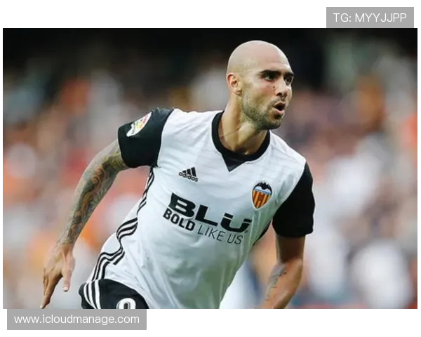 西甲联赛视频免费直播：查找免费直播西甲联赛比赛的平台与资源